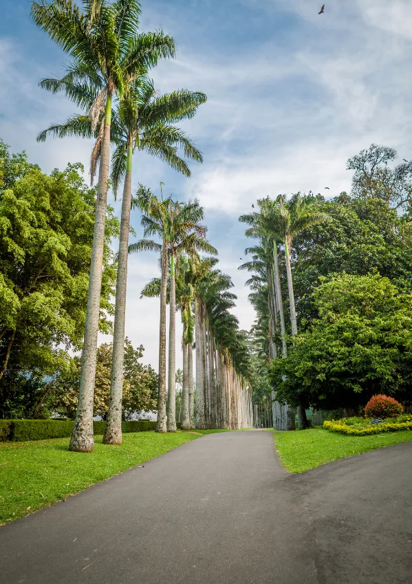 Kandy Day Tours