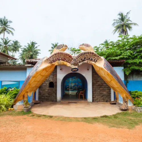 Turtle Hatchery Centre