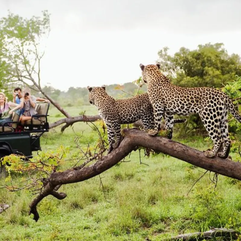 Yala National Park